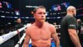 Boxing Schedule 2026: Upcoming Fights and Title Bouts
