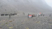 Asaphila and Longju Border Tensions: Latest Update