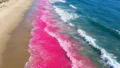 California’s Pink Ocean Experiment Revealed Pollution Paths