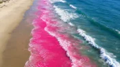 California’s Pink Ocean Experiment Revealed Pollution Paths