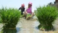 India Creates 11 Crore Farmer IDs Ahead of Deadline