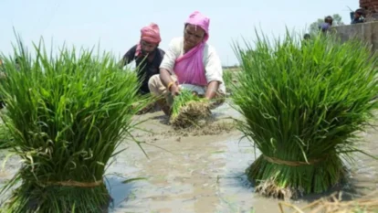 India Creates 11 Crore Farmer IDs Ahead of Deadline