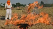 AAP Hits Back at BJP Over Punjab Stubble Burning Claims