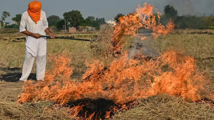 AAP Hits Back at BJP Over Punjab Stubble Burning Claims