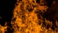Eagle’s Nest Fire: Man Arrested on Suspicion of Arson