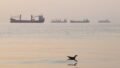 Iran Hosts Saudi, Pakistan and Turkey Talks Amid Tensions