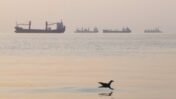 Iran Hosts Saudi, Pakistan and Turkey Talks Amid Tensions