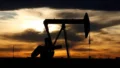 BPCL Russian Crude Oil Purchases May Fall in November