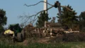 Judge Blocks Trump From Cutting More Trees at D.C. Golf Course