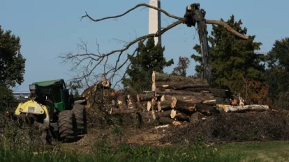 Judge Blocks Trump From Cutting More Trees at D.C. Golf Course Judge Blocks Trump From Cutting More Trees at D.C. Golf Course