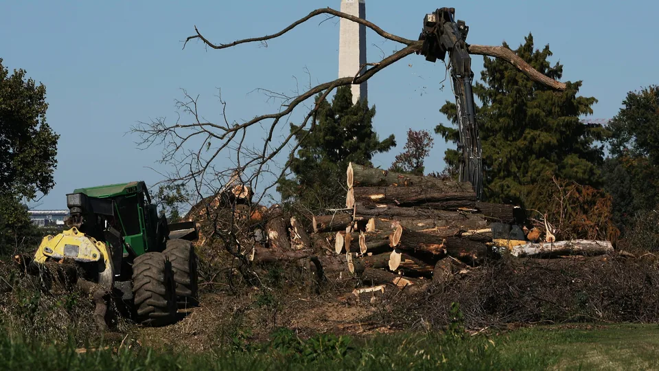 Judge Blocks Trump From Cutting More Trees at D.C. Golf Course