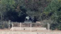 North Korea-South Korea Tensions Rise as Howitzers Appear