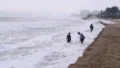 Cyclone Arnab: IMD Issues Rain Alerts for Jharkhand