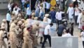 Daljit Singh Death Case: Drug Overdose or Murder?