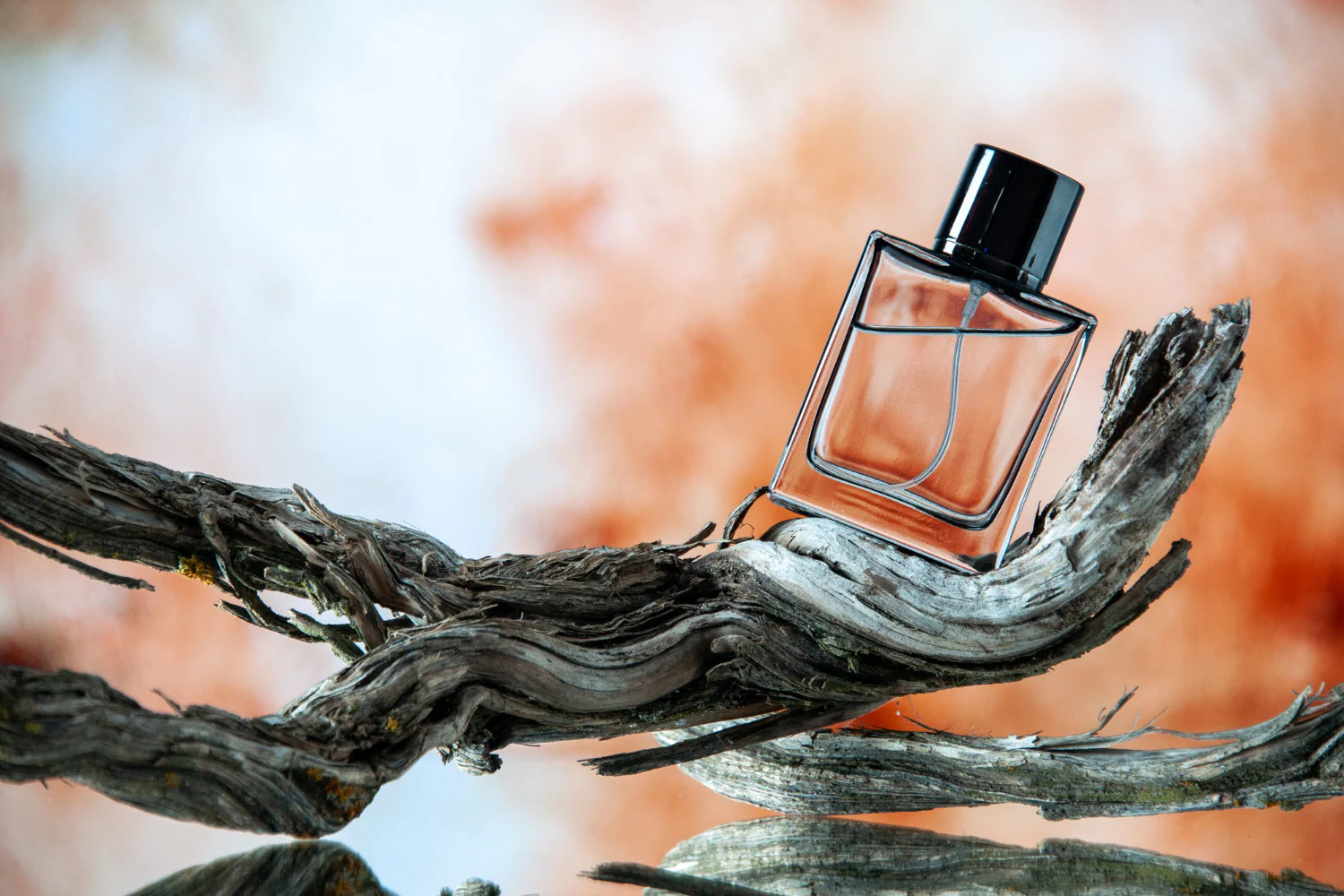How to Choose the Right Perfume for Every Season