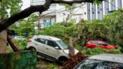 Cyclone Arnab Kills 5 in Andhra Pradesh, CM Announces Relief
