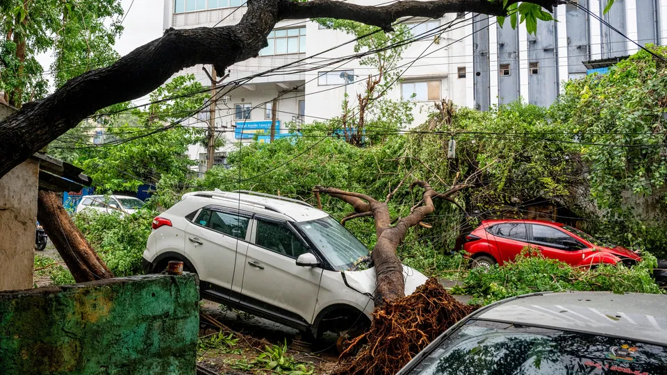 Cyclone Arnab Kills 5 in Andhra Pradesh, CM Announces Relief