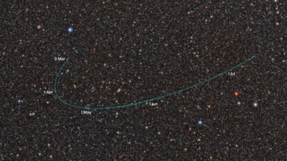 ED138: New Dwarf Planet Candidate Discovered Beyond Pluto