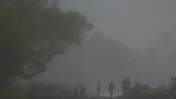Chhattisgarh Rain Alert: Raipur Schools Closed on October 29