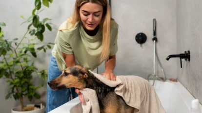 8 Pet Grooming Tips for Healthy Skin and a Shiny Coat