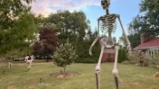 12-Foot Skeleton Trend Takes Over Holidays Beyond Halloween