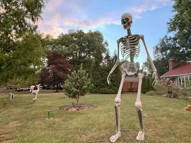 12-Foot Skeleton Trend Takes Over Holidays Beyond Halloween