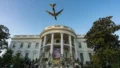 Air Force One Flyover Delays 202 Flights at Washington Airport