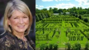 Martha Stewart’s Farm Now Has 19 Pheasants and 100+ Chickens