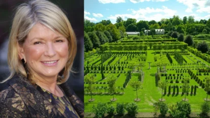 Martha Stewart’s Farm Now Has 19 Pheasants and 100+ Chickens Martha Stewart’s Farm Now Has 19 Pheasants and 100+ Chickens