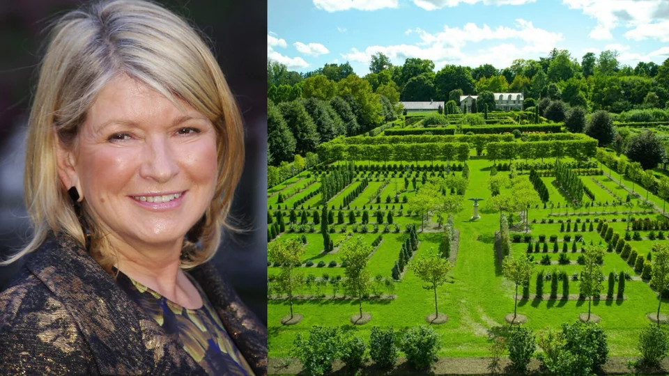 Martha Stewart’s Farm Now Has 19 Pheasants and 100+ Chickens