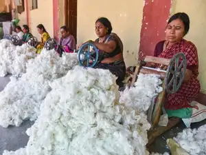 India Extends Cotton Import Duty Exemption Till December 31